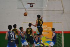 bandeirantes0805-9