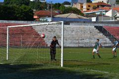 jacarezinho-5