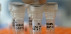 butantan-cobra-verbas-e-diz-que-em-tres-anos-pode-ter-vacina-contra-zika---para-materia-bbc-1454579585966_615x300