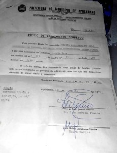 tn_9d45c9eb15_borrado