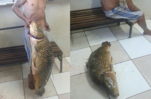 tn_f4799a529d_carpa77777777