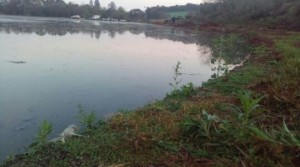 IMG-20160815-WA0035