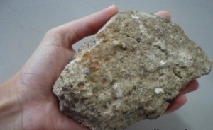 pedra41