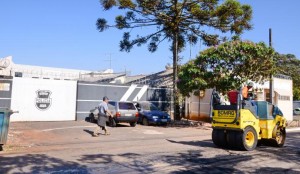 cadeiaarapongas