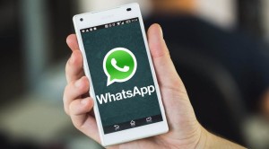 whatsapp-lg-218c416