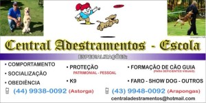 centraladestramento