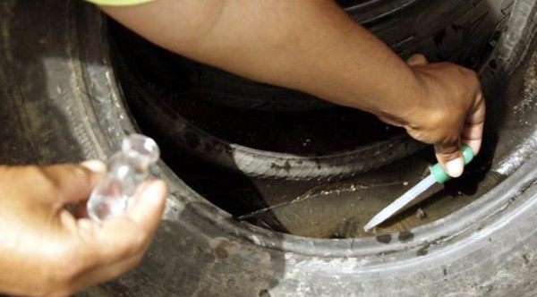 Janeiro encerra sem epidemia de dengue no Paraná; cuidados não devem ser abandonados