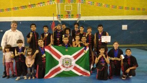 Campeões de Kung Fu
