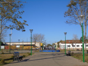 DSC00324_3