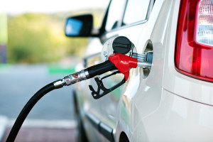 gasolina