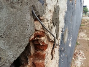 IMG-20170817-WA0049