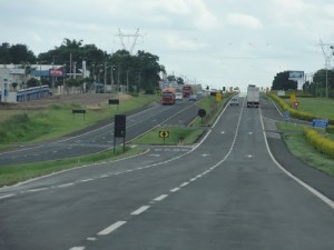 br-369_atropelamento_arapongas_br-369