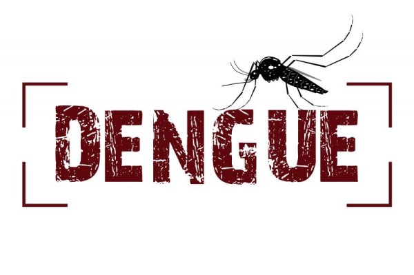 dengue