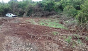 tn_8db3b6aca5_policia-ambiental