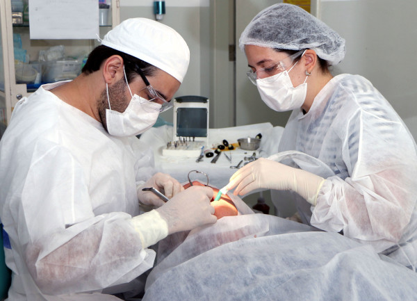 IMPLANTEPROFETA-5