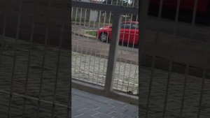 Vídeo mostra menina implorando para não ser deixada pela mãe em Curitiba