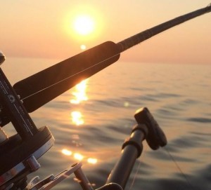 tn_502a2450f5_pesca