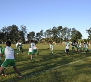 tn_8253aa44cd_arapongas5jpg (1)