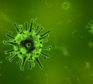 tn_8f6d97c319_virus-1812092-1920