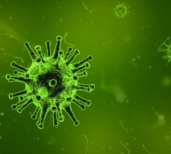 tn_8f6d97c319_virus-1812092-1920