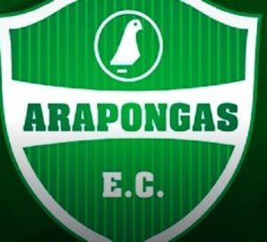 tn_c01908cda8_arapongas33333333