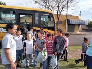 Verduras orgânicas são distribuídas no CCI Antonieta Zampaollo