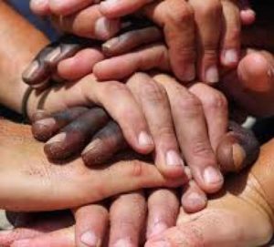 tn_9c0c42041c_images
