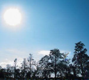 tn_db35267637_sol-1