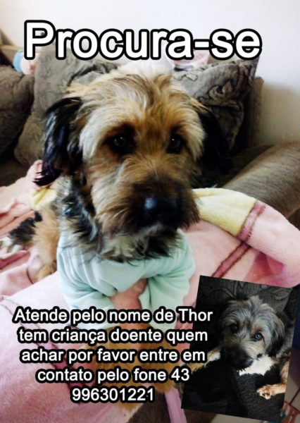 IMG-20181129-WA0104