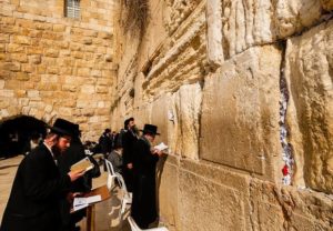 images (19)