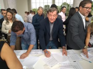 materia pitangueiras