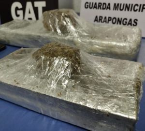 tn_7656315fda_arapongas-max