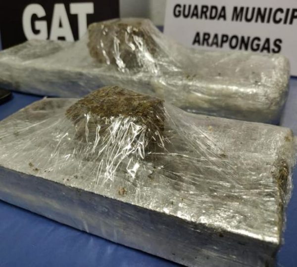 tn_7656315fda_arapongas-max