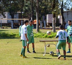 tn_84717c24bd_arapongas1