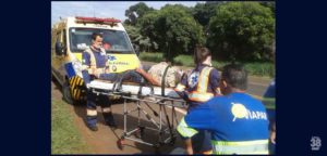 Carreta-carregada-de-milho-sai-da-pista-tomba-na-BR-376-em-Apucarana-06