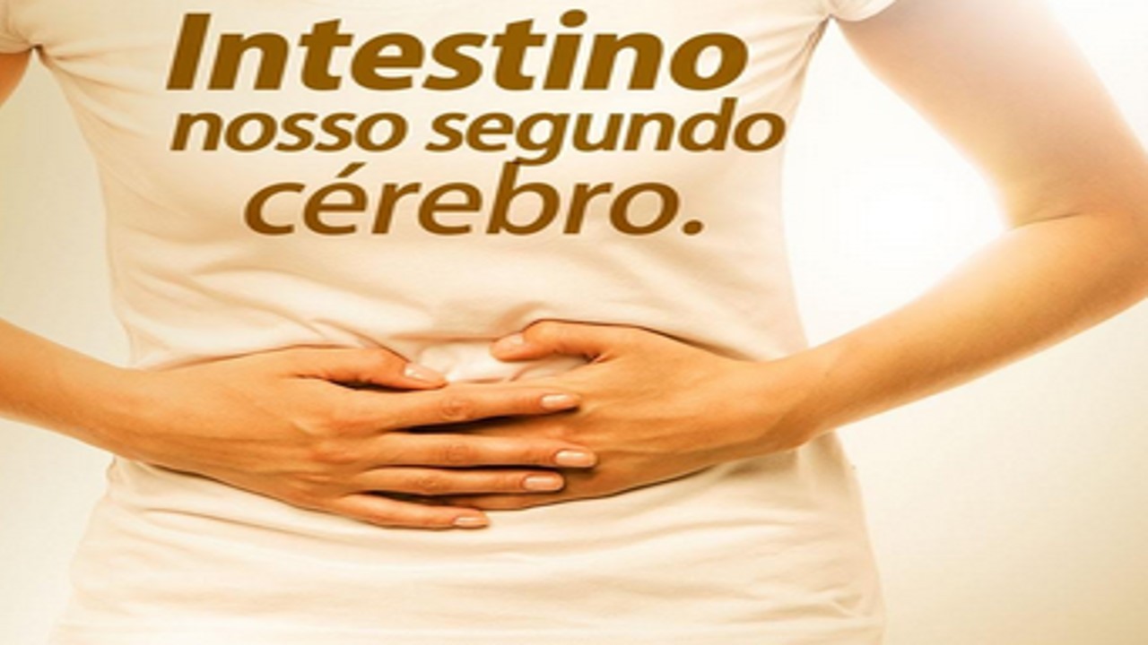 Foto intestinos segundo cérebro