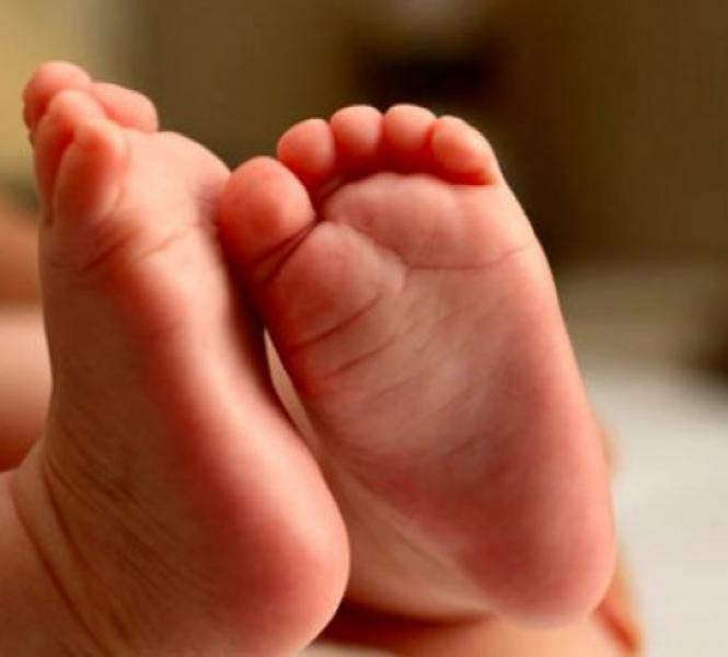tn_7b0a07a85d_bebe