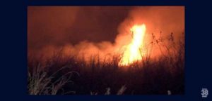 Incendio-em-vegetacao-quase-atinge-moradia-em-Faxinal-696x333