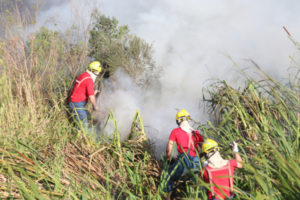 noticia_403404_img1_cidades-incendio1-franklin- (1)