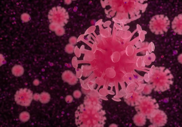noticia_600909_img1_coronavirus-5-2-1-1-868x607