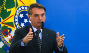 noticia_471582_img1_bozo