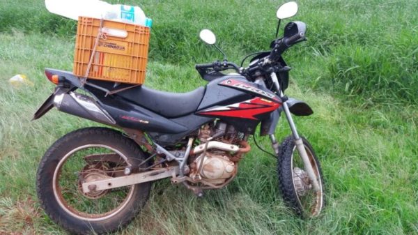 motoatropela dog