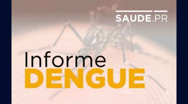 Boletim-semanal-da-dengue-confirma-mais-dez-mortes-696x385
