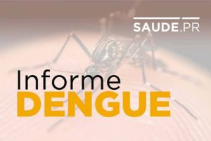 aedes