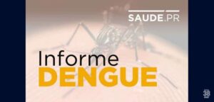 Boletim-semanal-da-dengue-confirma-mais-dez-mortes-696x333