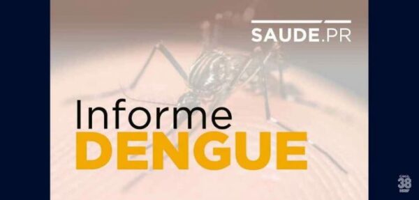 Boletim-semanal-da-dengue-confirma-mais-dez-mortes-696x333