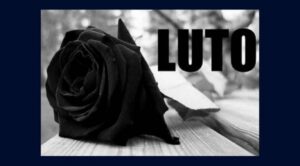 LUTO--696x385