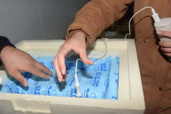 Parana-recebe-lote-com-145-mil-doses-da-Pfizer-00534286-0-202106080851-md (1)