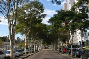 news_interna_copel_florestas_urbanas_2