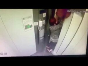 Cão fica pendurado pela coleira presa a elevador em movimento em SP; Vídeo